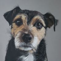 Coloured pencil portrait of a Terrier